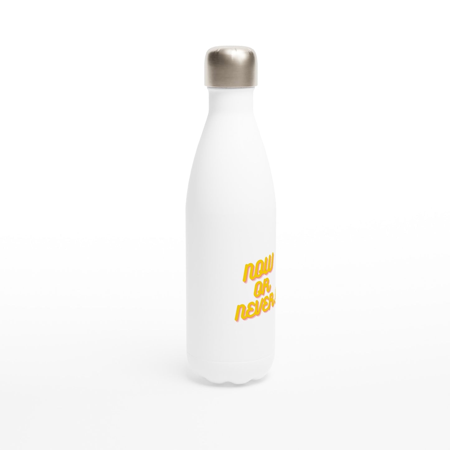 17oz Stainless Steel Water Bottle