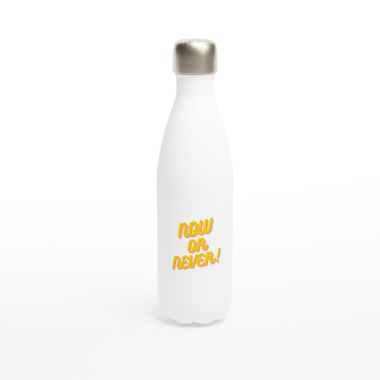 17oz Stainless Steel Water Bottle